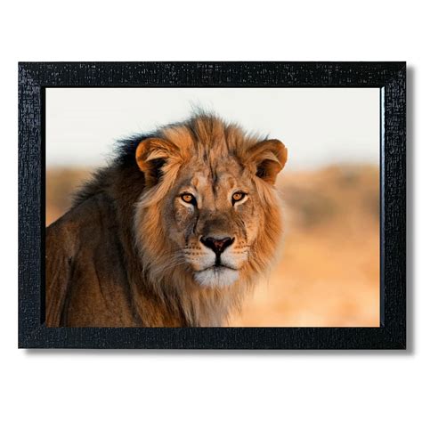 Decor Village Lion 3: Framed Wildlife Animal Poster for Wall Decor (A4 ...