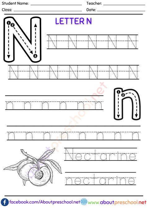 Kindergarten Letter Trace N - About Preschool
