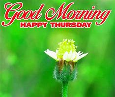 Image result for Good Morning Thursday Cute Images