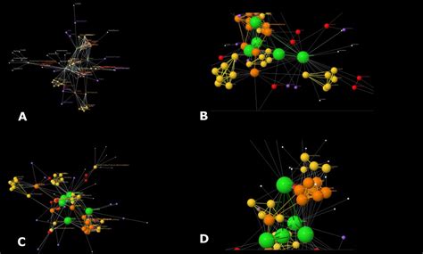 3D Networks 的图像结果