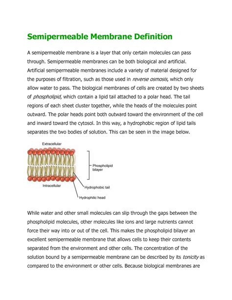 Semipermeable Membrane Definition - Semipermeable membranes can be both ...