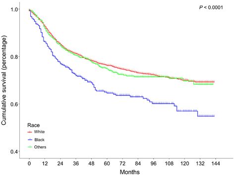 A Clinical Prediction Model of Overall Survival for Patients with Cervical Cancer Aged 25–69 Years