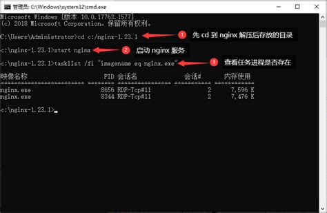 Image result for Nginx Zone