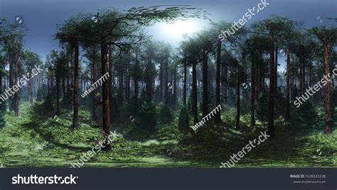 Environment Map 的图像结果