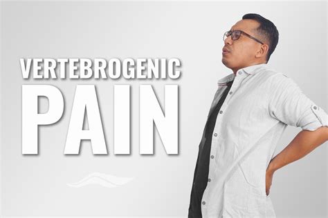 What Is Vertebrogenic Low Back Pain? | Causes, Symptoms & Treatment – SUPMOGO RecoveryFlex System