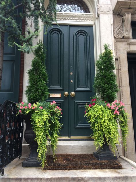 Plant Ideas For Front Door Entrance at Judith Poche blog