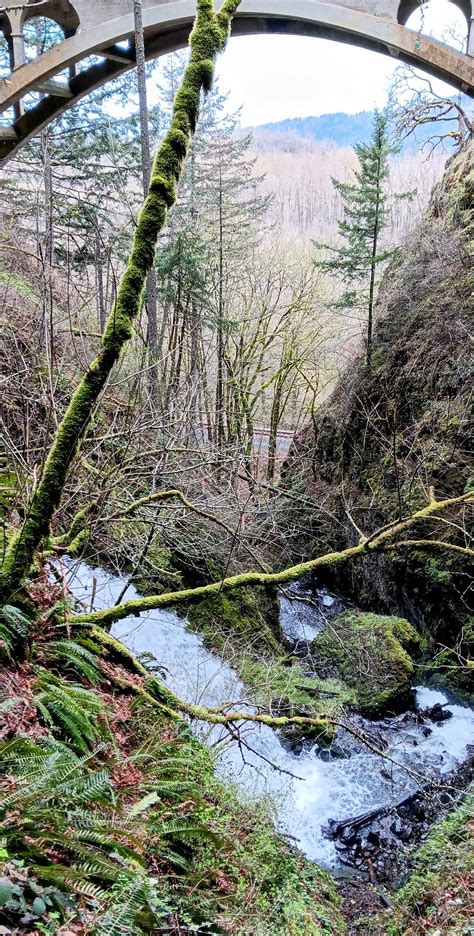 SHEPPERD'S DELL FALLS (2026) All You Need to Know BEFORE You Go (with ...