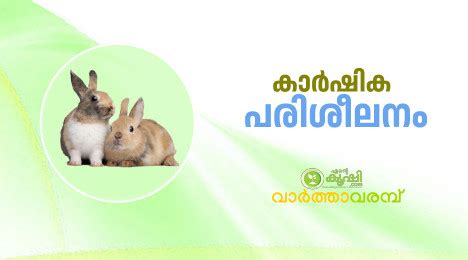 മുയല്‍വളര്‍ത്തല്‍ പരിശീലനം