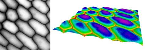 libstick: Demonstration