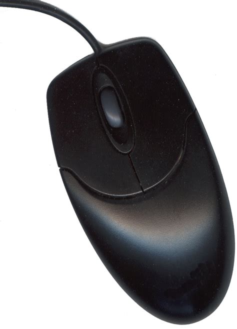 Image result for About Computer Mouse