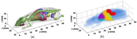 Image result for Mouse Model Reference