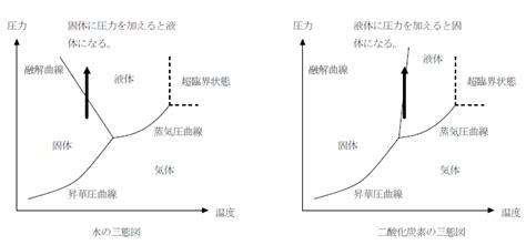 How to Do Lesson 12 Nested Loops Code.org 的图像结果