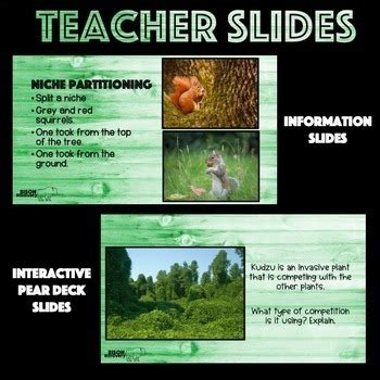 Image result for Competitive Exclusion Example Abingdon Tortoise