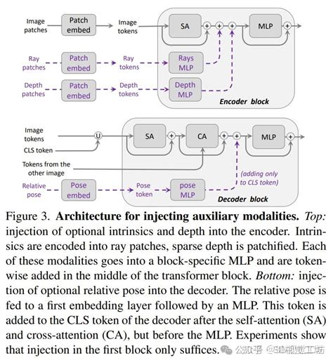 ppR3 Vector 的图像结果