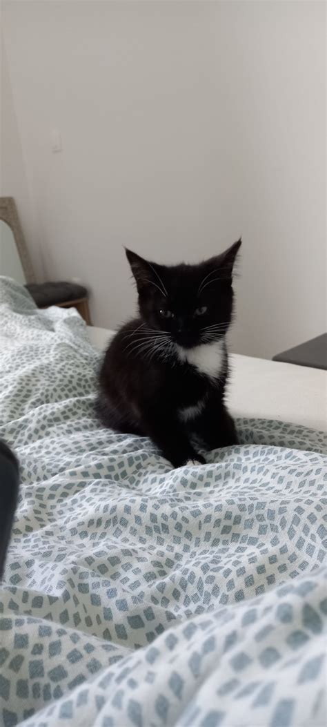 Image result for Angry Confusing Meme