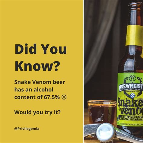 Did you know that the world's strongest beer is called "Snake Venom ...