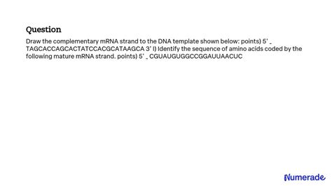 Image result for Complementary mRNA Strand
