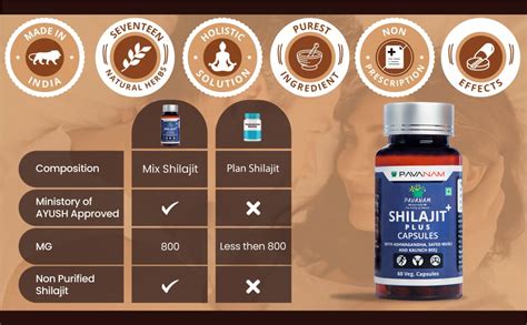 Pavanam Ayurveda Pure Himalayan Shilajit/ Shilajeet Capsules for men ...