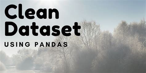 Image result for How Use Python Clean Big Dataset