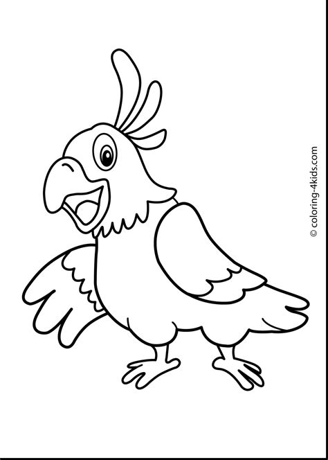 Image result for Parrot Drawing Printable