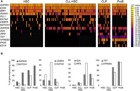 Image result for Lymphoid Cell Lineage