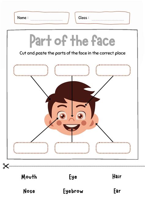 The Parts of Face - XPPP