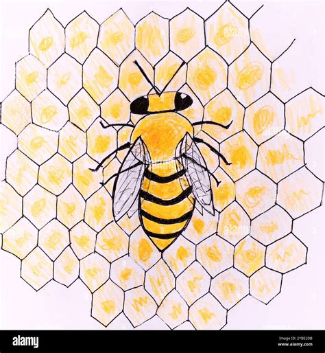 Bee Honeycomb Drawing Bee Stencils For Painting On Wood, Honey Bee