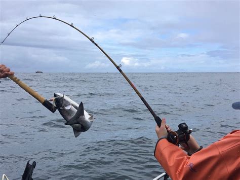 FISH HAPPENS - All You Need to Know BEFORE You Go 2026 (with Photos ...