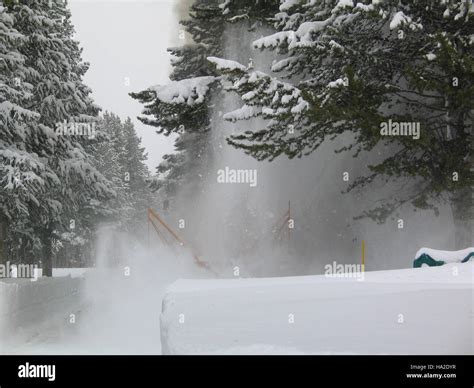 Yellowstone National Park’s Fishing Bridge is a historical site, known for its role in early ...