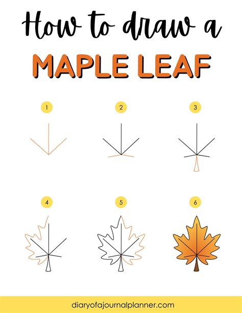 How To Draw A Maple Leaf - Easy Maple Leaf Drawing To Try