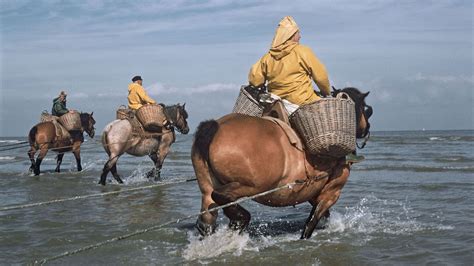 6 activités à faire pendant un week-end à Coxyde - RTBF Actus