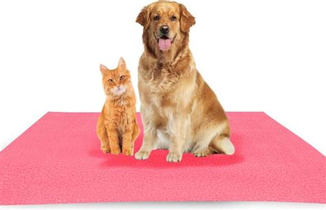 Dog Mats - Buy Dog Mats Online at Best Prices In India | Flipkart.com