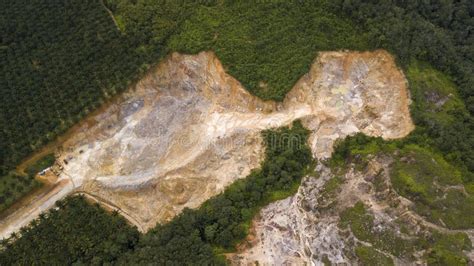 Malaysia Agriculture 的图像结果
