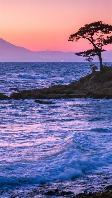 Bing Wallpaper Japan 的图像结果