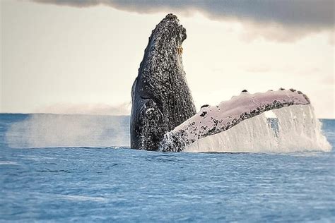 COLOMBIA INSPIRA SAS (2026) All You Need to Know BEFORE You Go (with ...