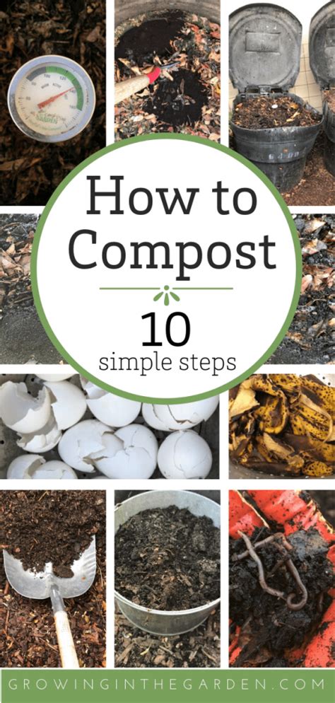How to Compost 的图像结果