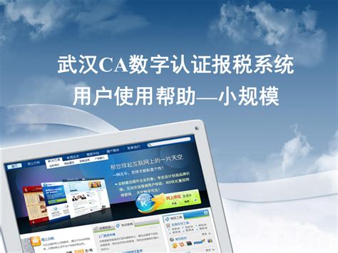 武汉国税网上申报CA操作教材小规模纳税人