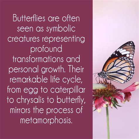 20 Different Types of Butterflies and Their Meanings - Joyce Elliott