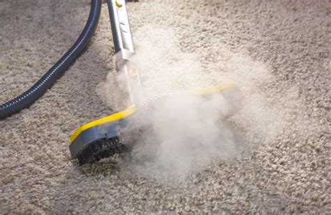 Best Carpet Steamer – The Best Carpet Steamer For Your Floor - Cottier ...