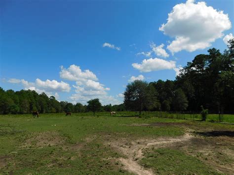 22.83 acres in Tyler County, Texas