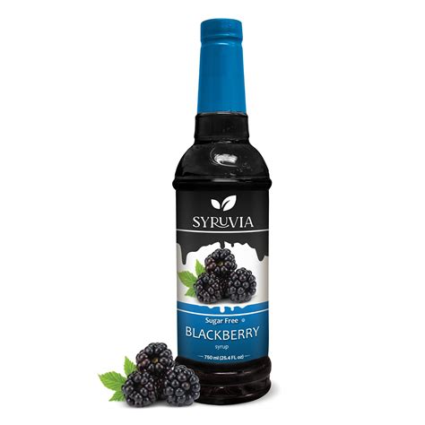 Amazon.com: Syruvia Sugar free Blackberry Syrup (25.4 fl oz) - Bursting ...