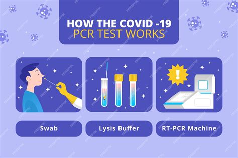 How Is PCR Test Done 的图像结果