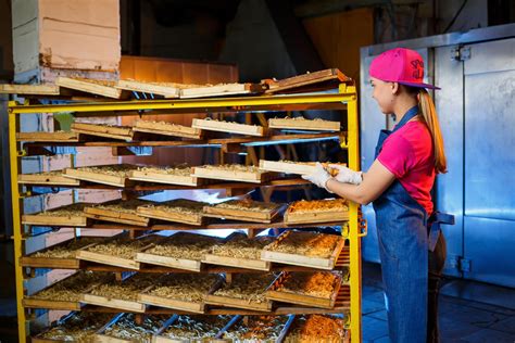 Food Manufacturing Industry Image 的图像结果