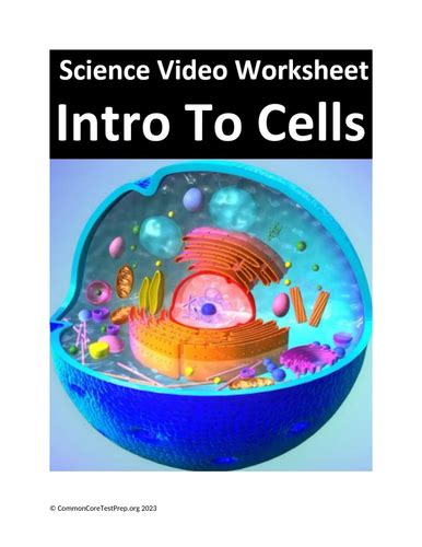 Tutorials for Cells 的图像结果