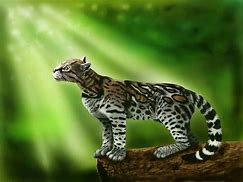 Image result for Creative Animal Wallpaper