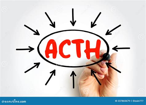 ACTH Adrenocorticotropic Hormone - Polypeptide Tropic Hormone Produced ...