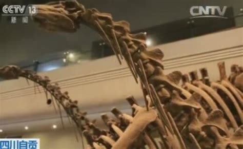 “恐龙公墓”之谜：无一颗恐龙蛋 或集体死于砒霜中毒|恐龙公墓|恐龙|恐龙蛋_新浪新闻