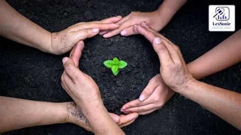 Supreme Court Overturns NGT’s No-Development Zone Around Gokulpur Talab ...