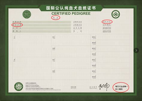 犬的血统证书讲解：让养宠者对狗狗血统的的认_第11届深圳国际宠物用品展览会