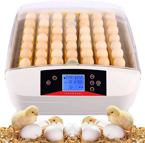 OppsDecor Fully Automatic Egg Incubator with Humidity Control India | Ubuy